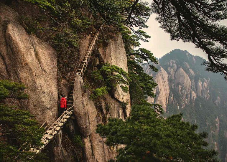 ladder